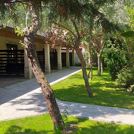 La Avocati *